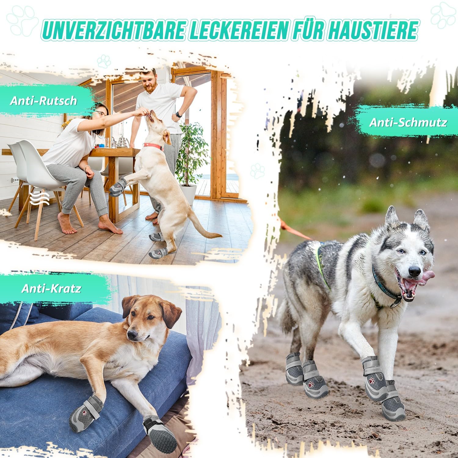 Încălțăminte pentru câini