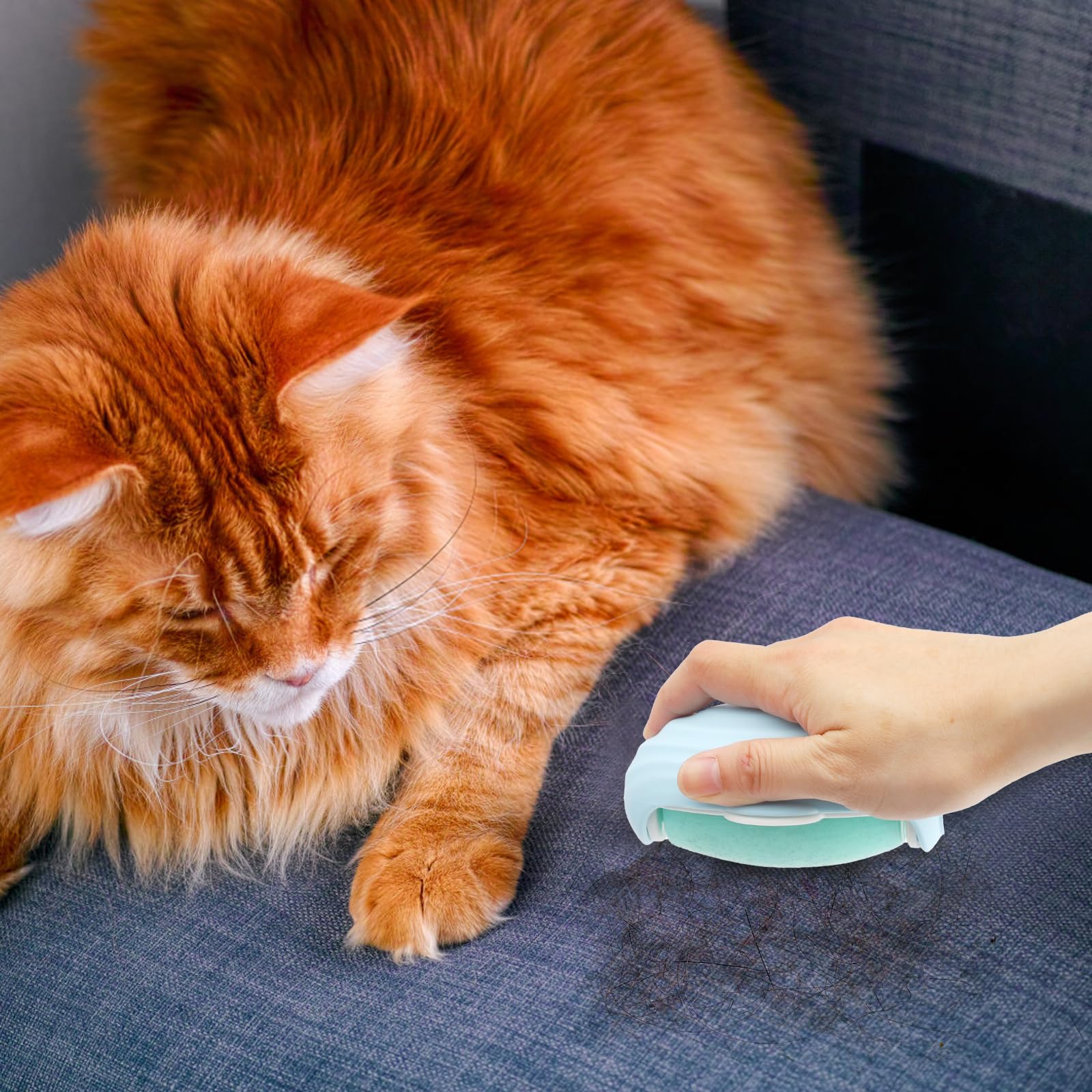 Rola Lipicioasă Portabilă